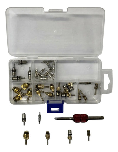 Kit Válvula Schrader Com Sacador / Oem 135.1135 / 270438
